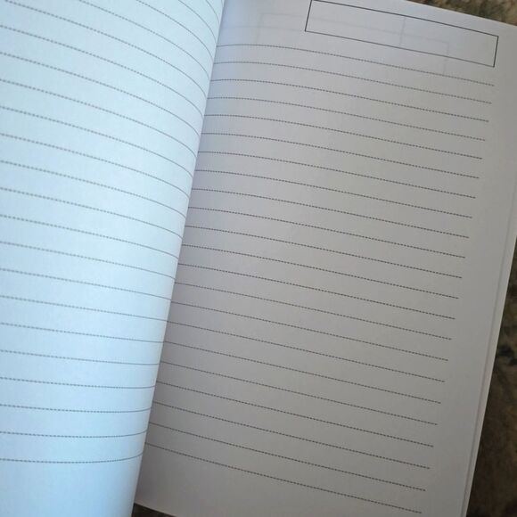 Archaeologist Fieldwork Companion Notebook New Study Abroad Archaeology College - Picture 3 of 4